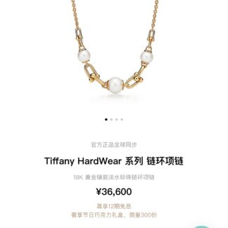 Luxury X641 Necklace