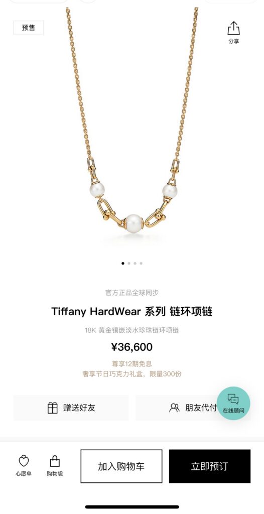 Designer Necklace editorial product context 1