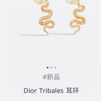 Luxury A1099 Earrings