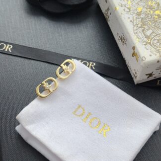 Luxury A1120 Earrings