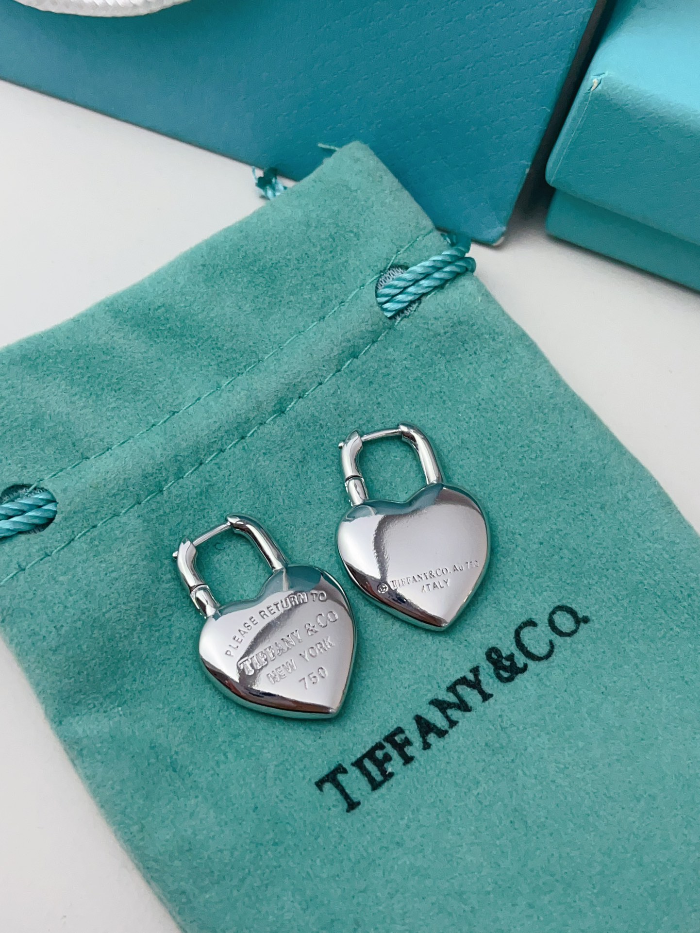 Luxury A1153 Earrings