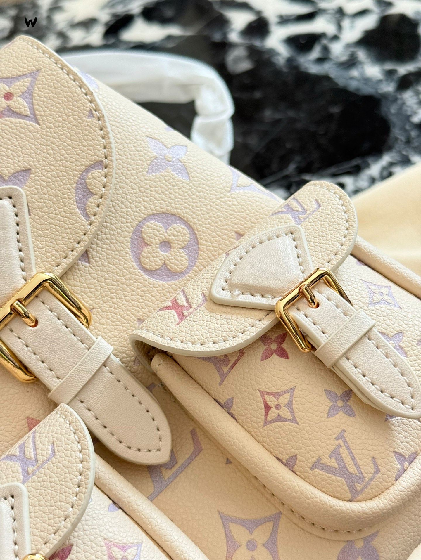 Louis Vuitton p200 22 25 Backpack