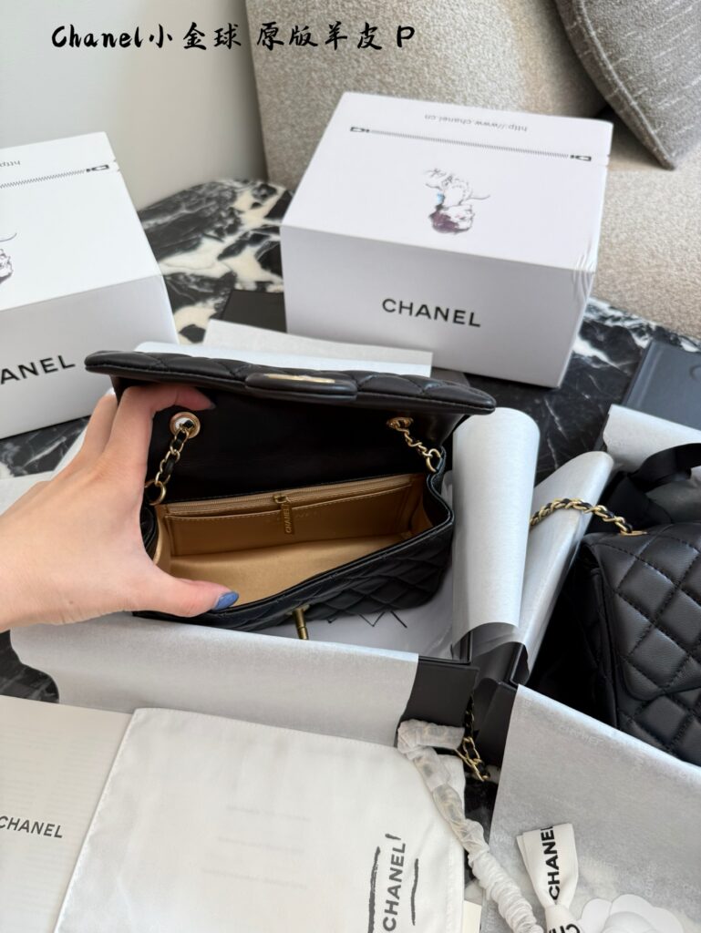 Chanel P205p210 Cm20cm White Leather Bag 17 cm editorial product context 2