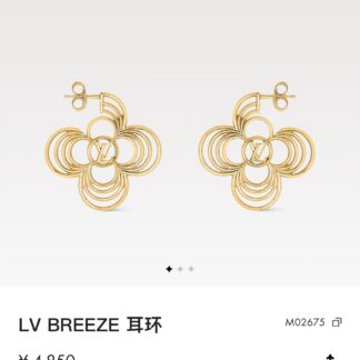 Luxury A1190 Earrings