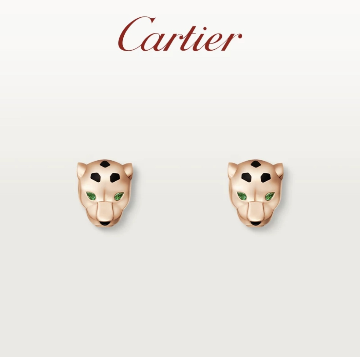 Luxury A1192 Earrings