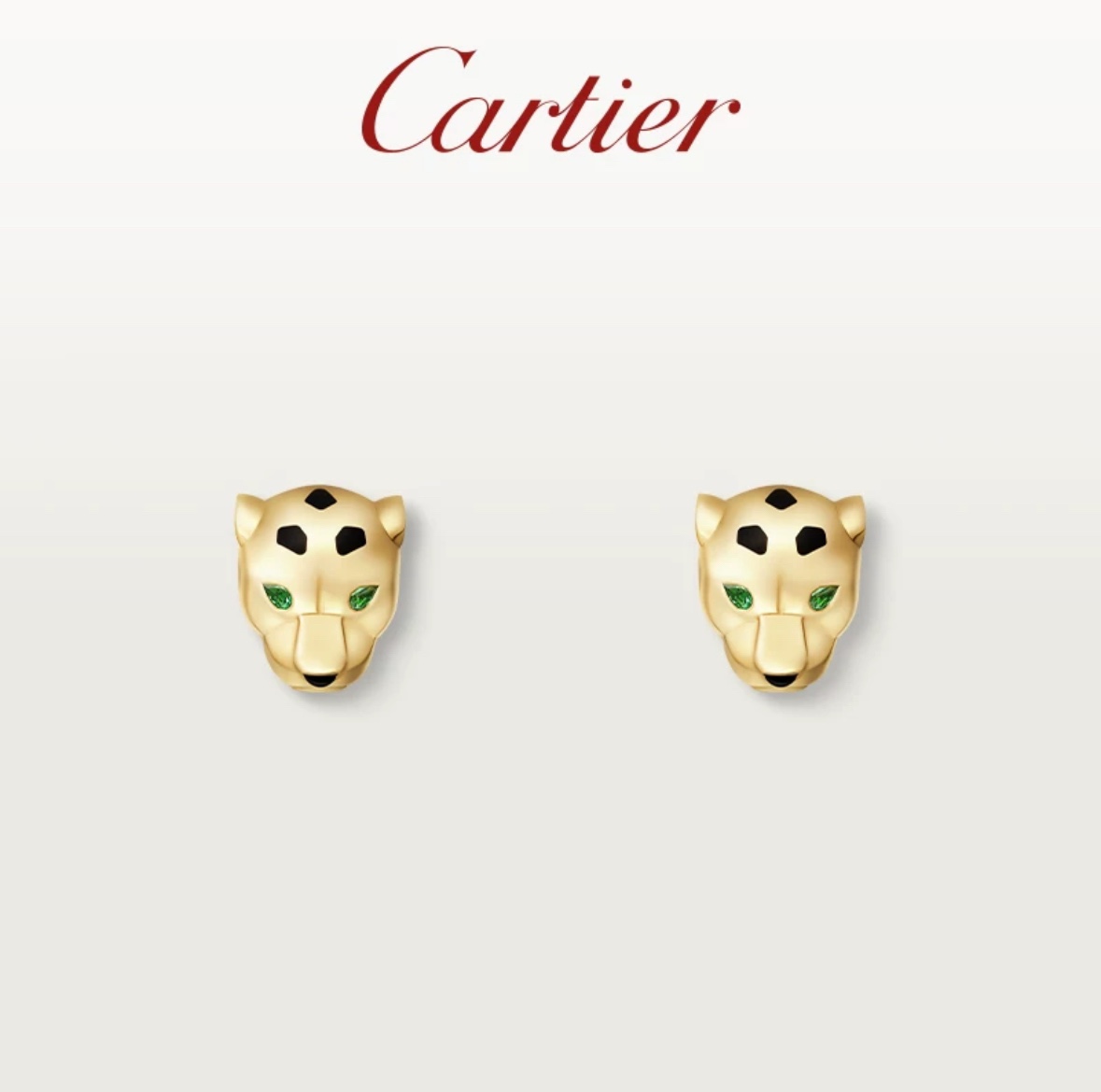 Luxury A1192 Earrings