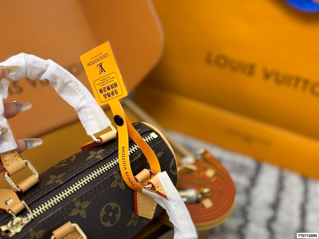 Louis Vuitton p110 16 10 Mini Bag