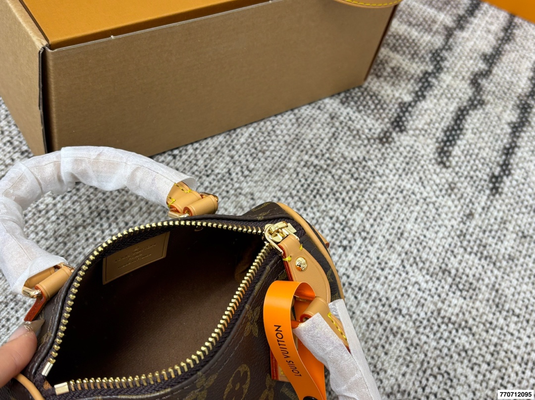 Louis Vuitton p110 16 10 Mini Bag
