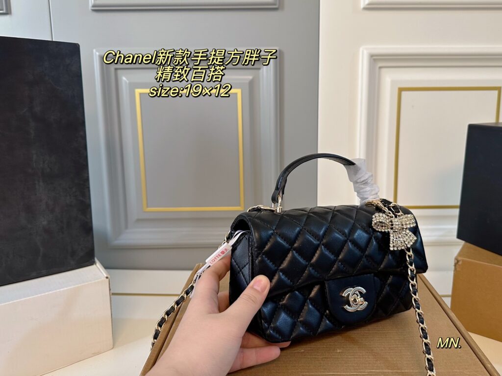 Chanel P130 19 12 Bag 19 x 12 cm editorial product context 3
