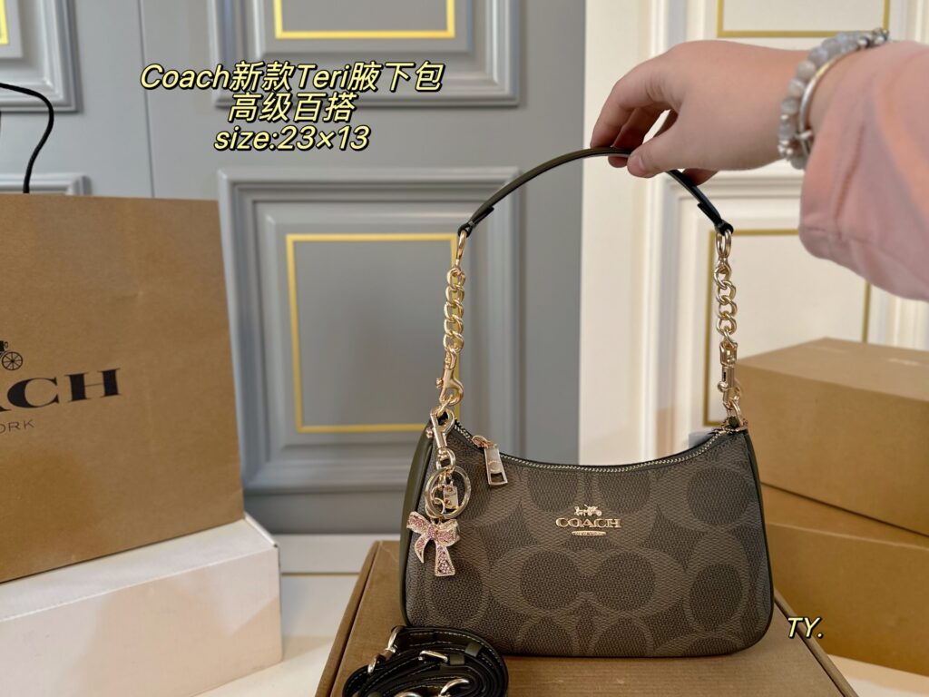 Coach Teri Crossbody Bag 23 x 13 cm editorial product context 2