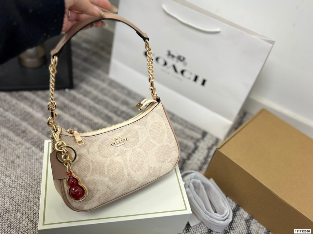 Coach P135 24 13 Bag 24 x 13 cm editorial product context 1