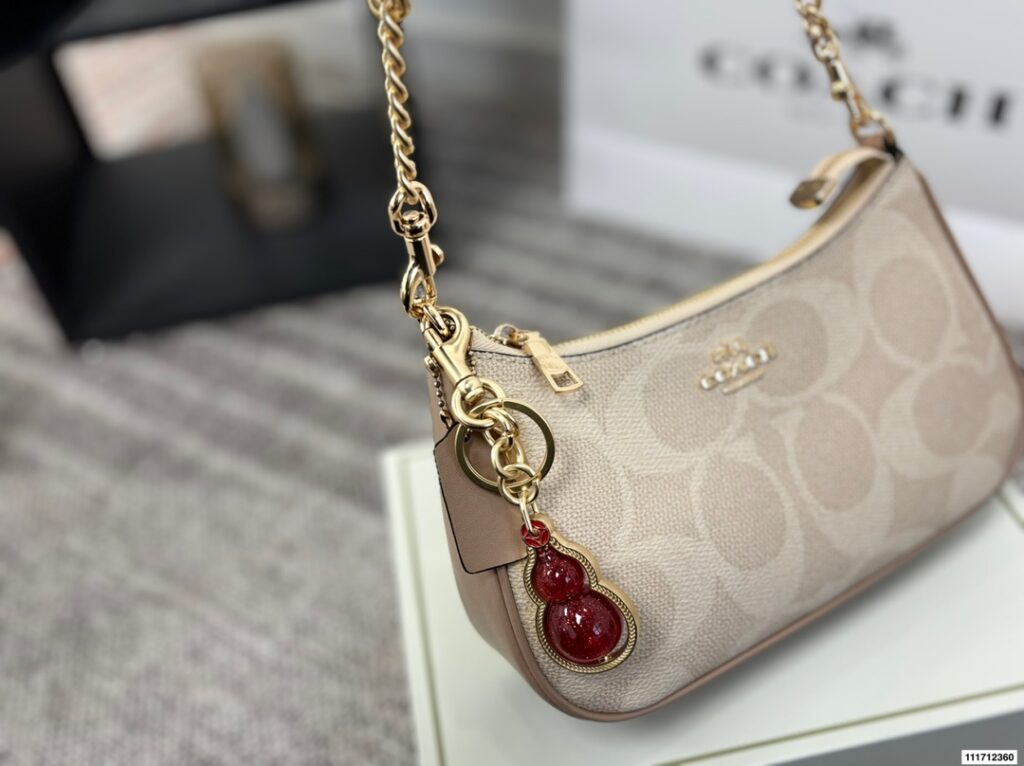 Coach P135 24 13 Bag 24 x 13 cm editorial product context 3