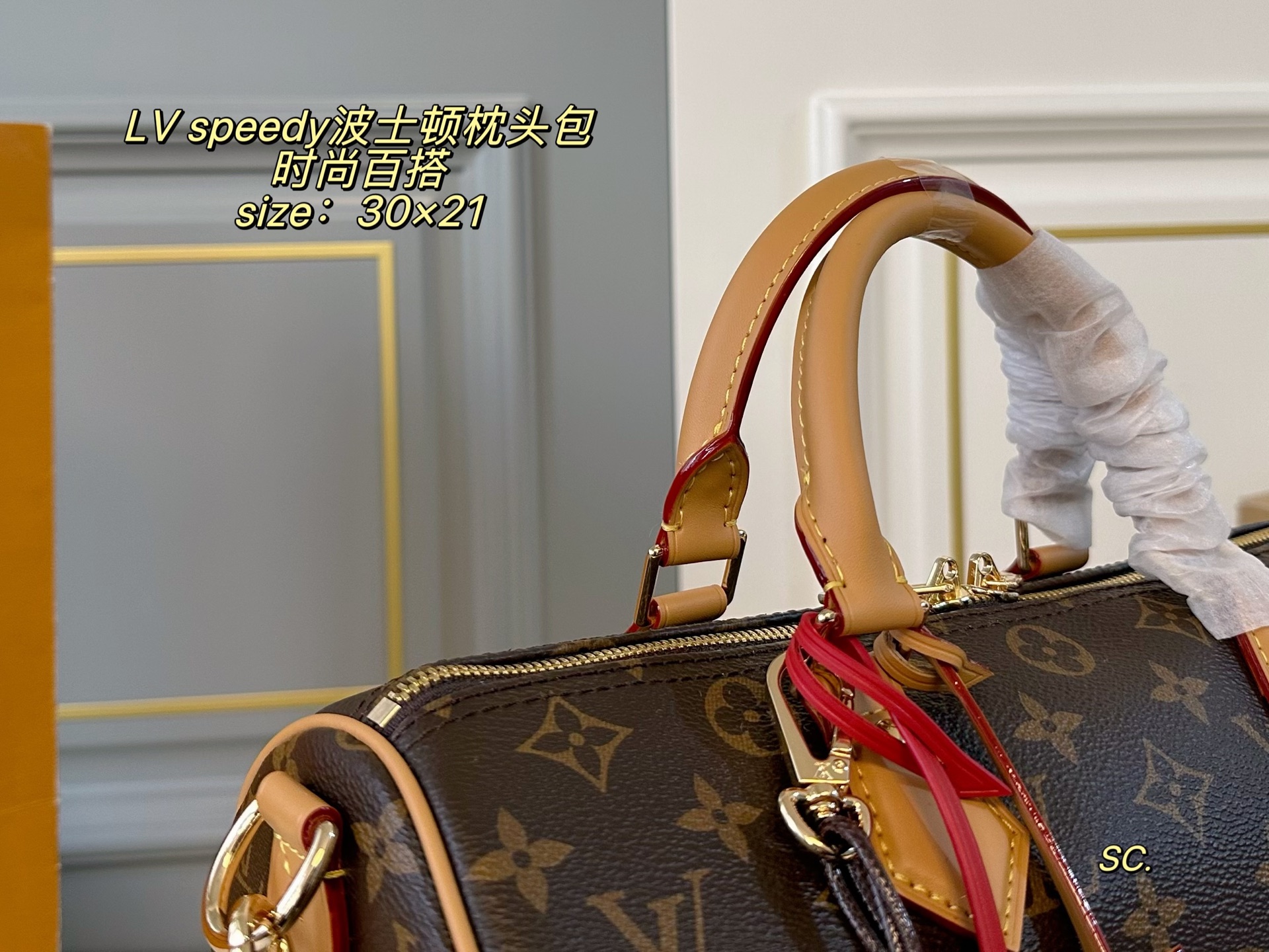 Louis Vuitton P200 30 21 speedy Bag 30 x 21