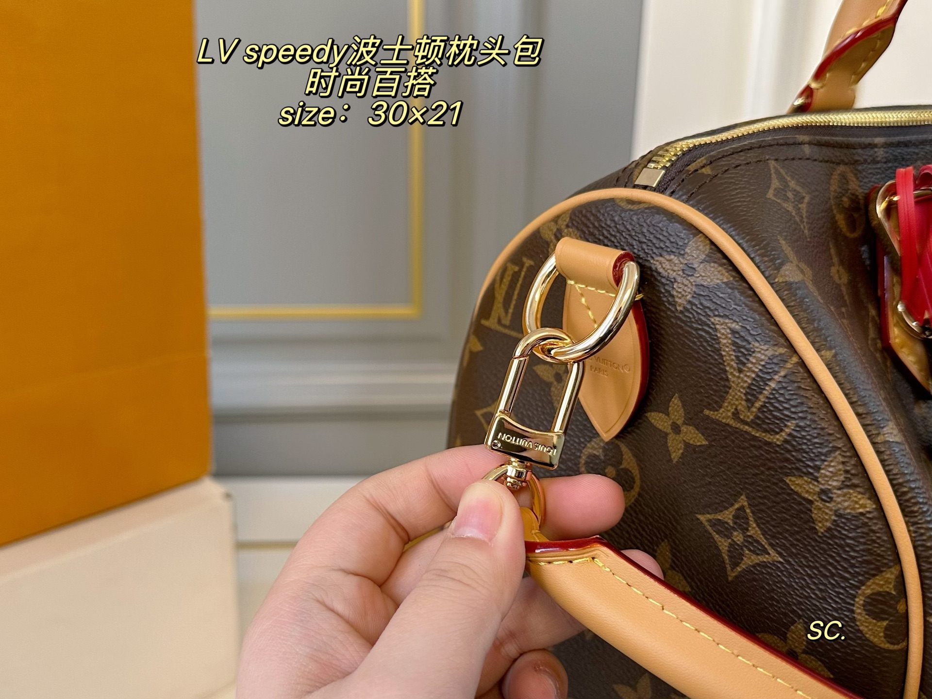 Louis Vuitton P200 30 21 speedy Bag 30 x 21