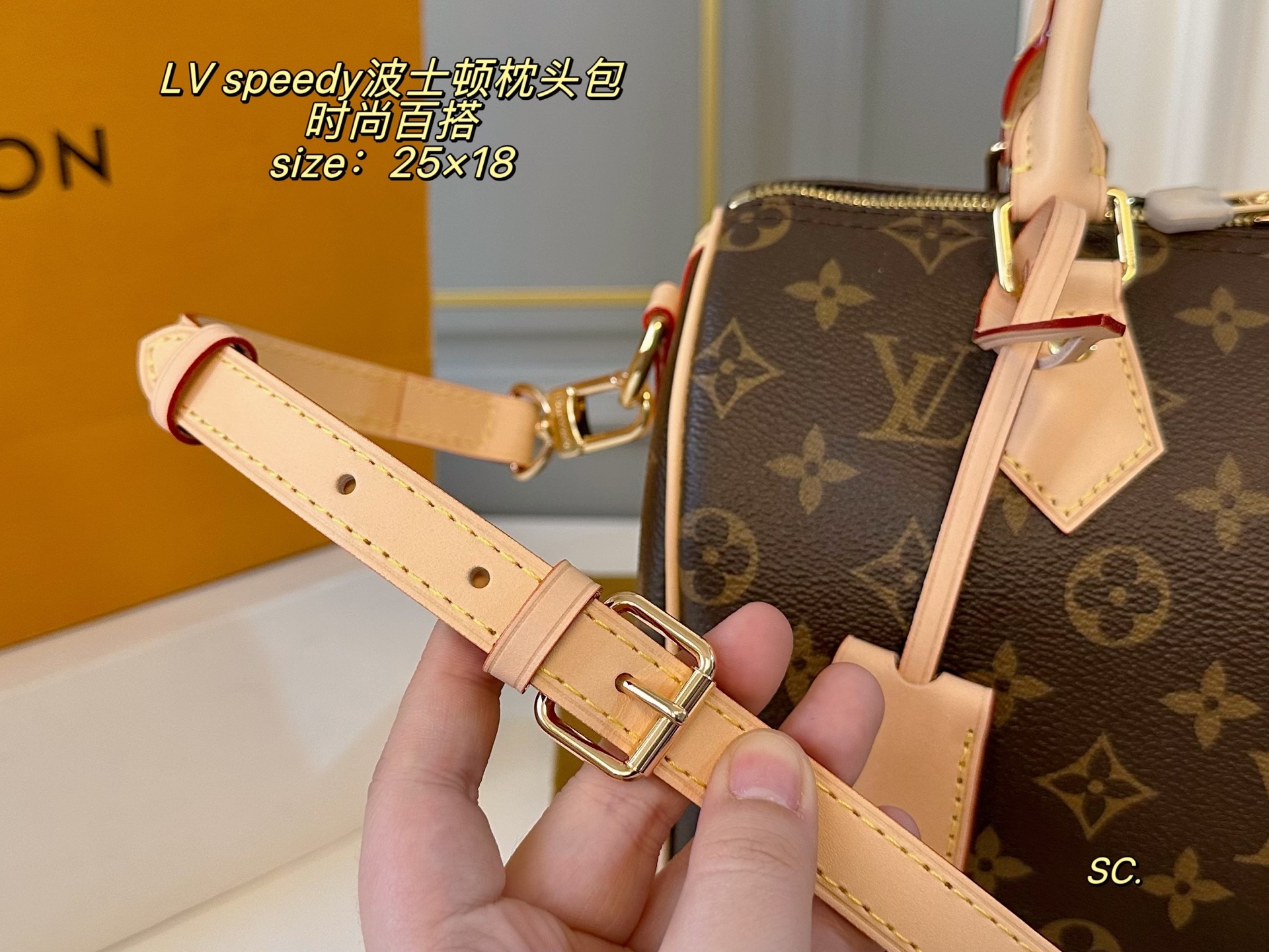 Louis Vuitton P210 25 18 speedy Bag 25 x 18