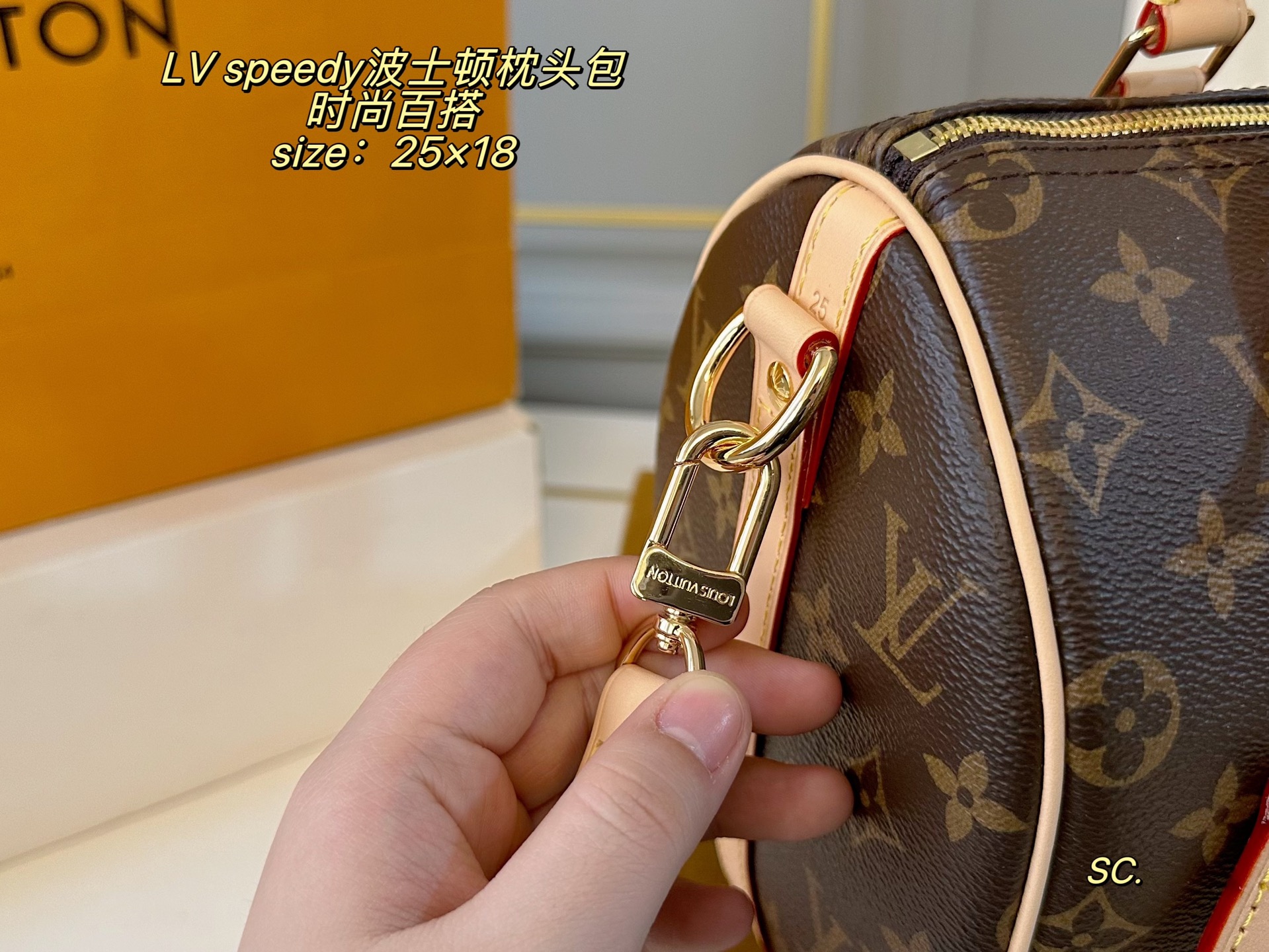 Louis Vuitton P210 25 18 speedy Bag 25 x 18