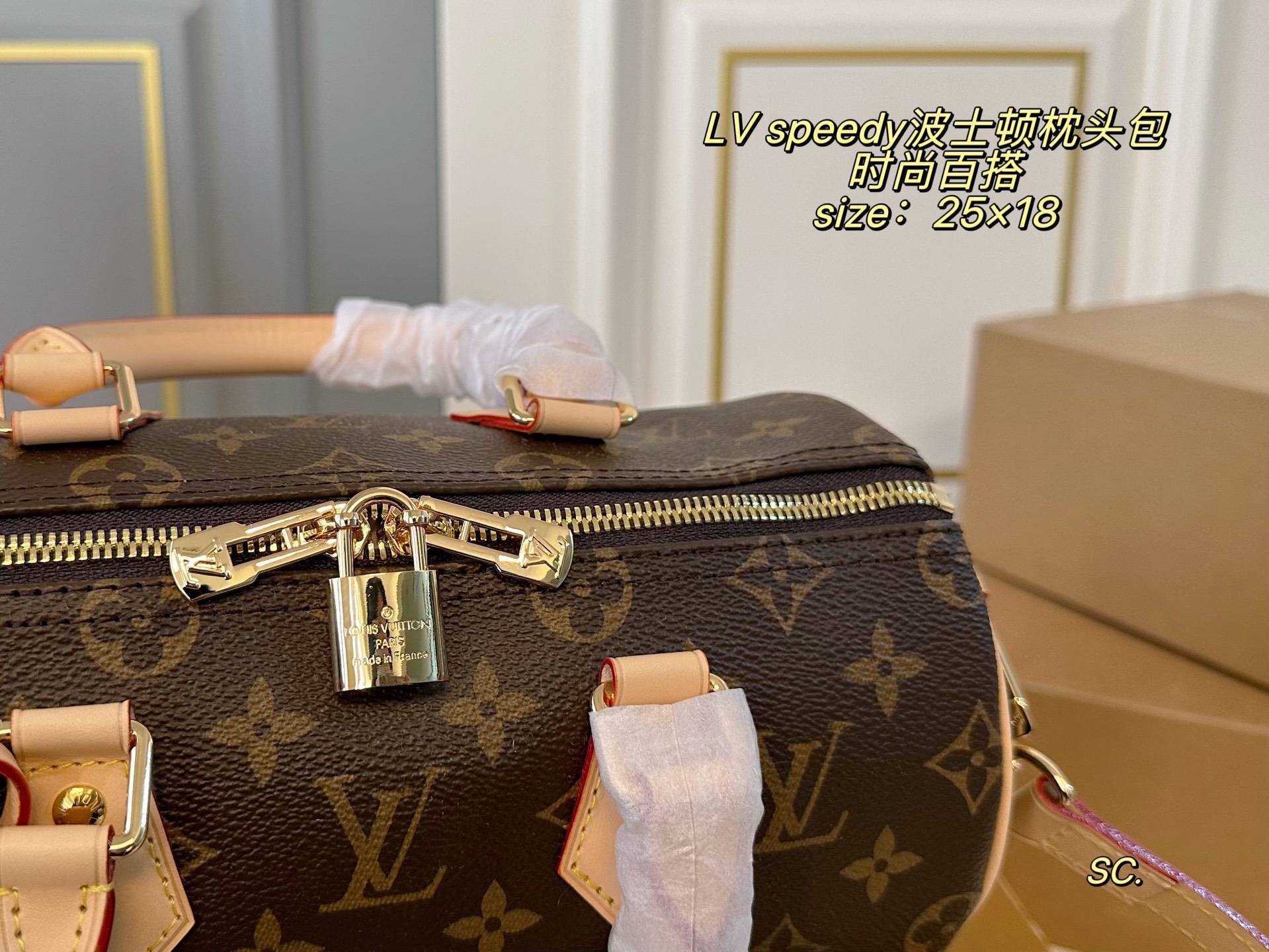 Louis Vuitton P210 25 18 speedy Bag 25 x 18