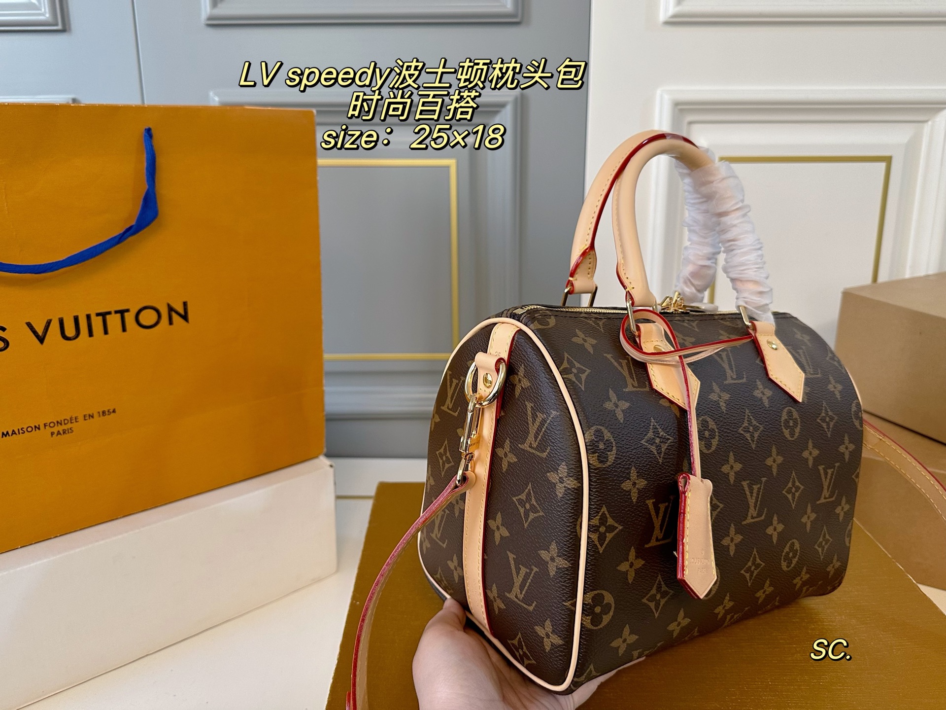 Louis Vuitton P210 25 18 speedy Bag 25 x 18