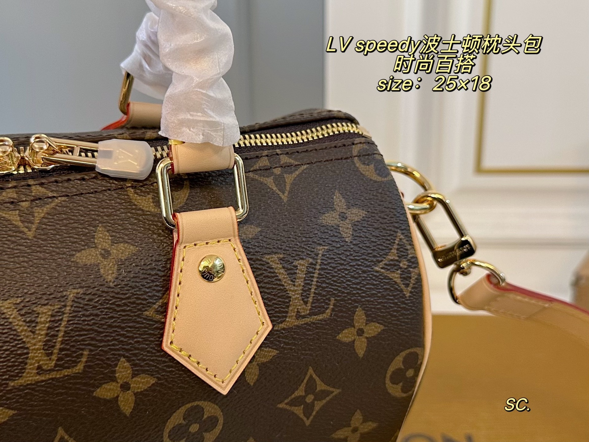 Louis Vuitton P210 25 18 speedy Bag 25 x 18