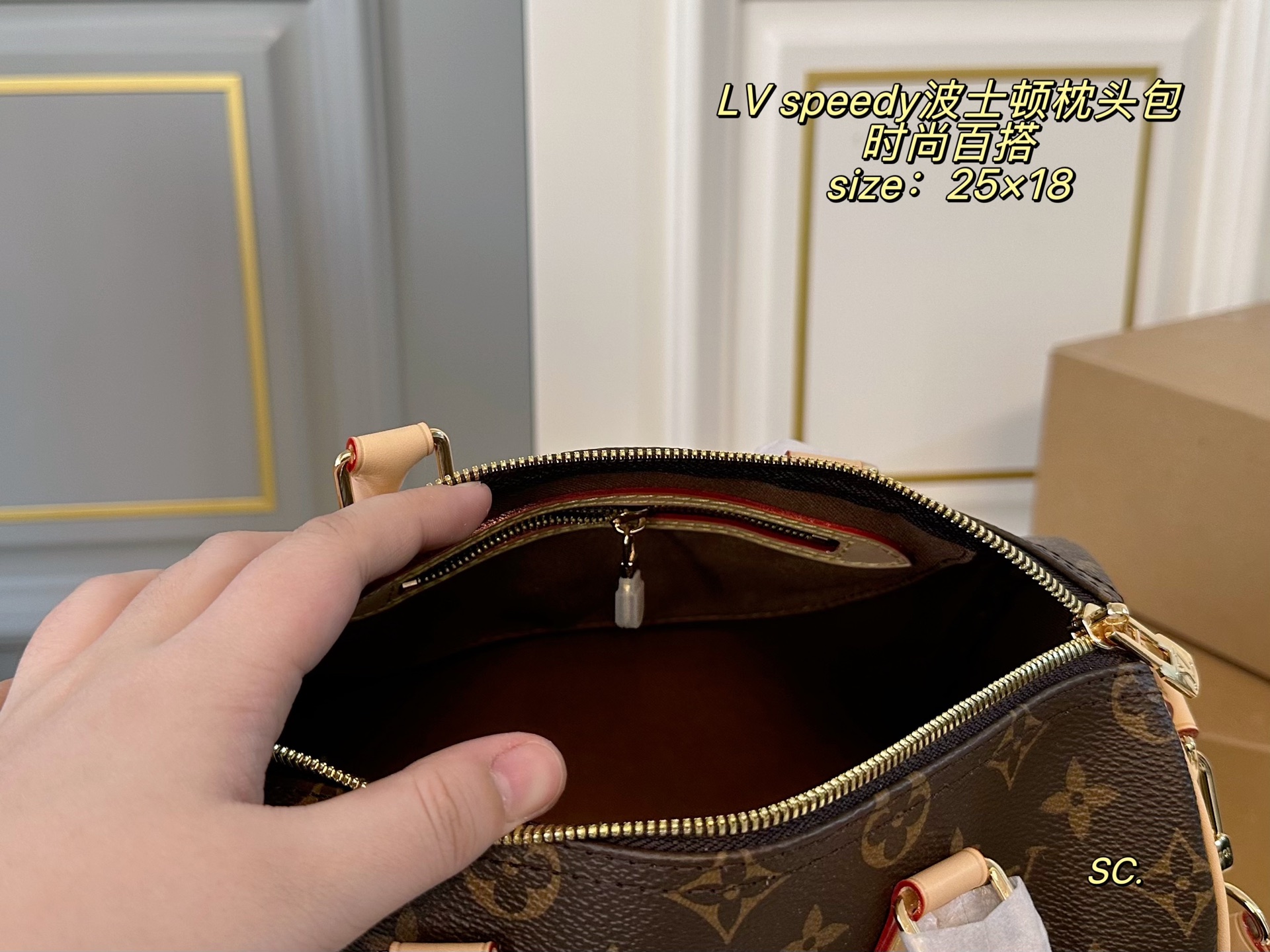 Louis Vuitton P210 25 18 speedy Bag 25 x 18