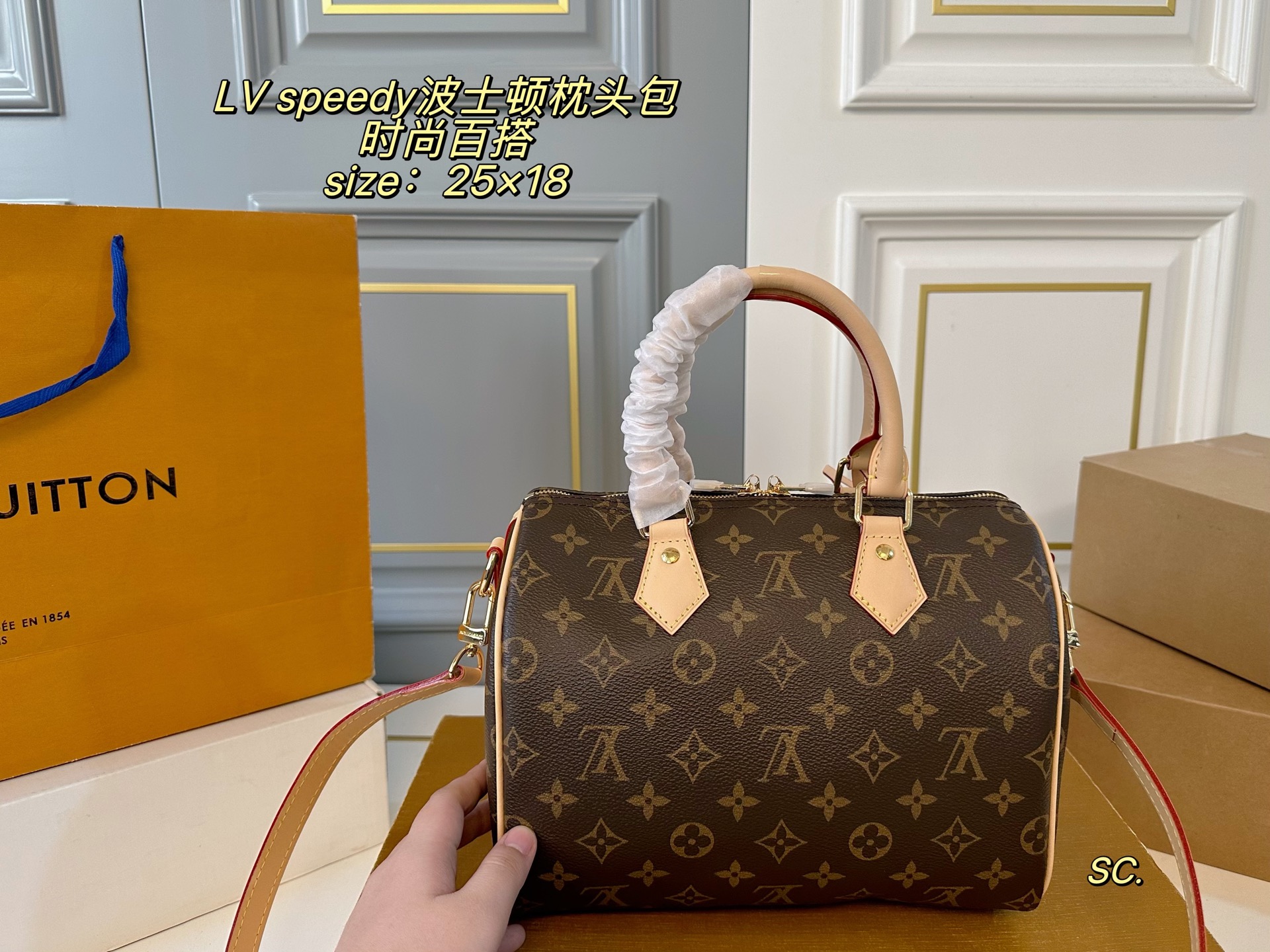 Louis Vuitton P210 25 18 speedy Bag 25 x 18