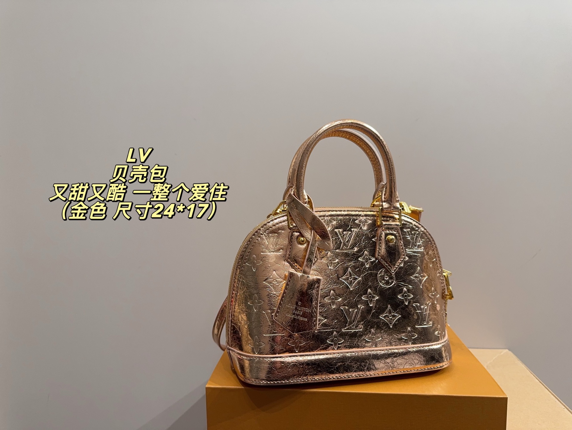 Louis Vuitton P135 24 17 Bag