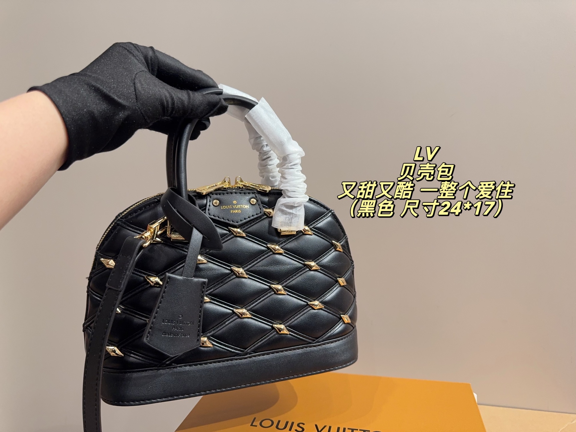 Louis Vuitton P185 24 17 Bag