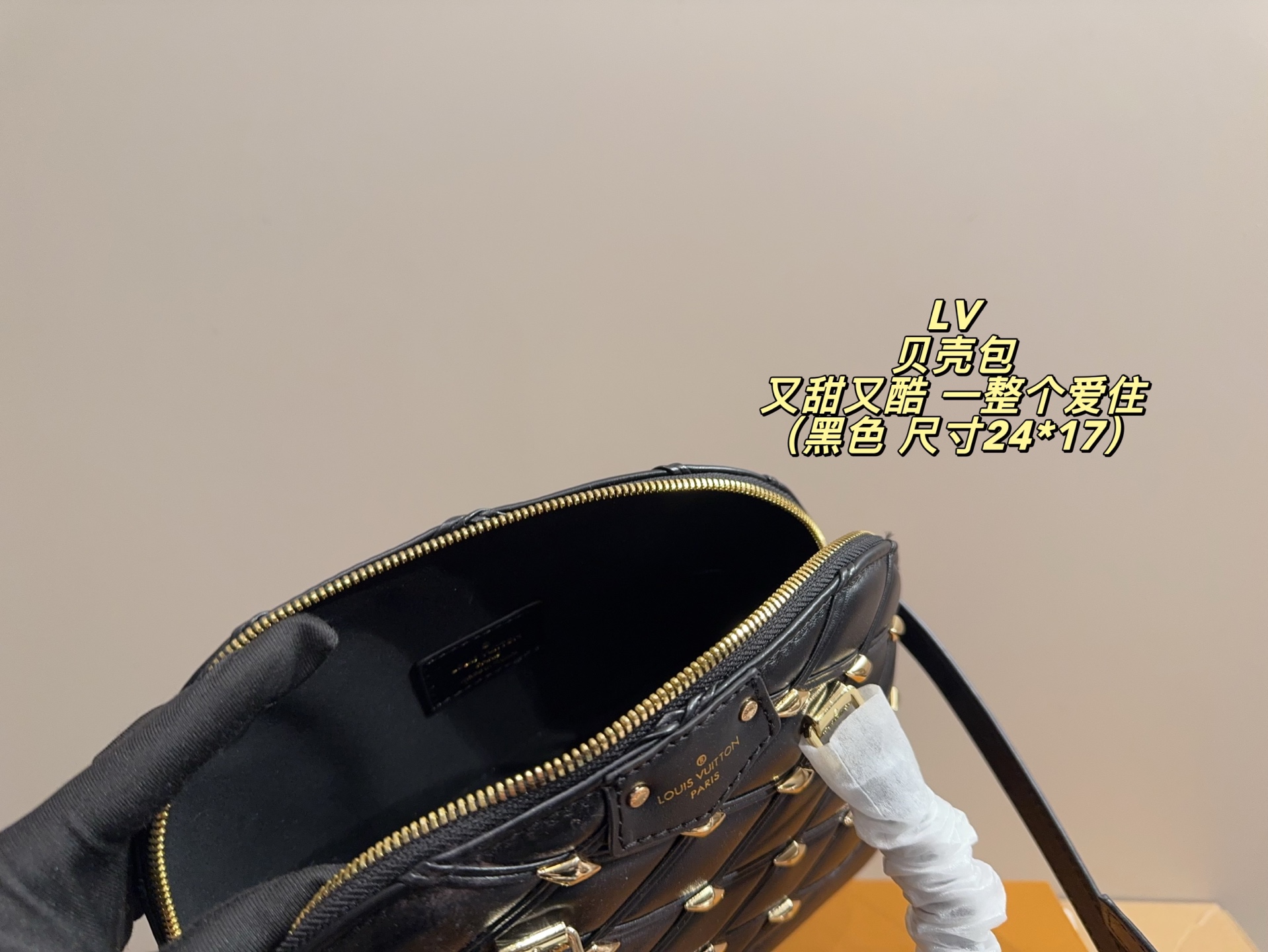 Louis Vuitton P185 24 17 Bag