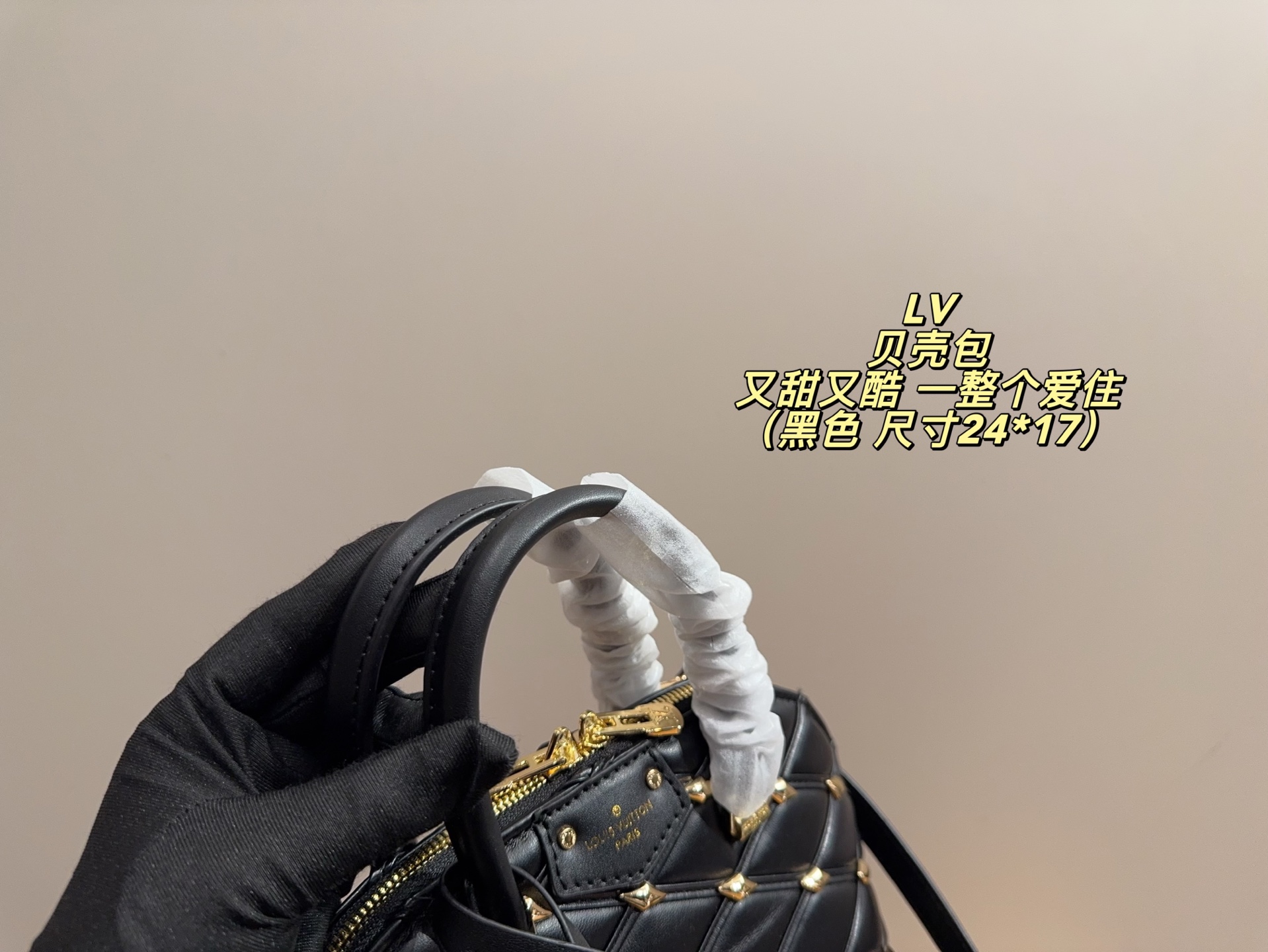 Louis Vuitton P185 24 17 Bag