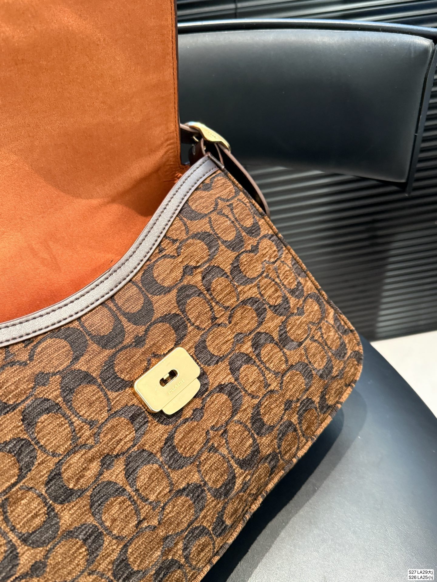 Coach P170 P165 Etta TA 29 21 25 13 LA29 LA25 Small Shoulder Bag