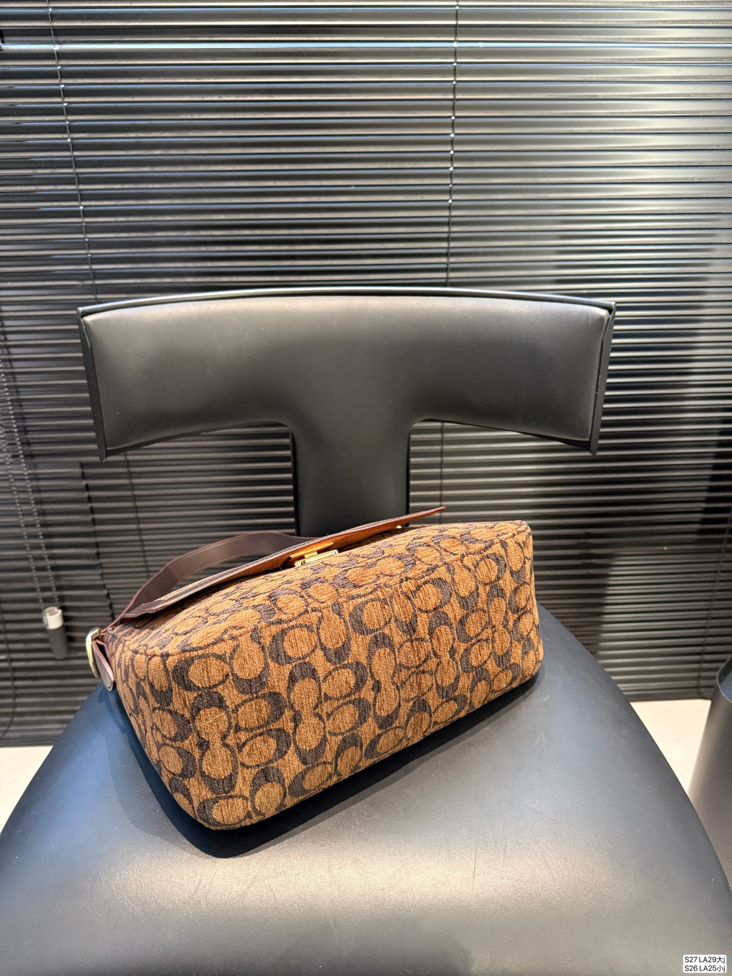 Coach P170 P165 Etta TA 29 21 25 13 LA29 LA25 Small Shoulder Bag