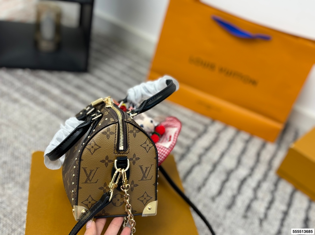 Louis Vuitton p170 10 20 Bag