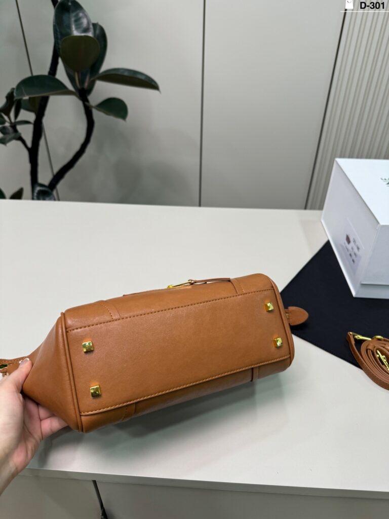 Celine Luggage Crossbody Bag 25 x 15 cm editorial product context 3