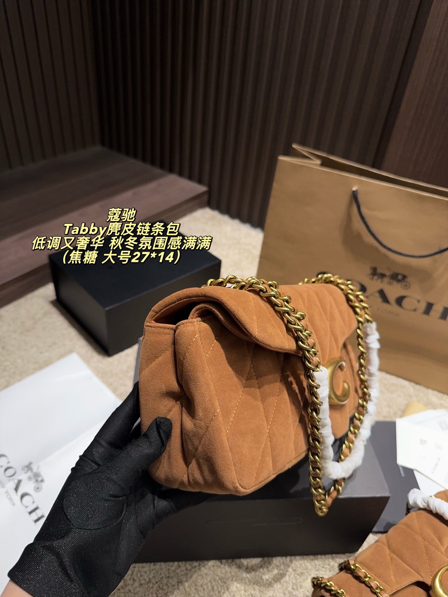 Coach P180 27 14 P165 20 10 Tabby Small Bag