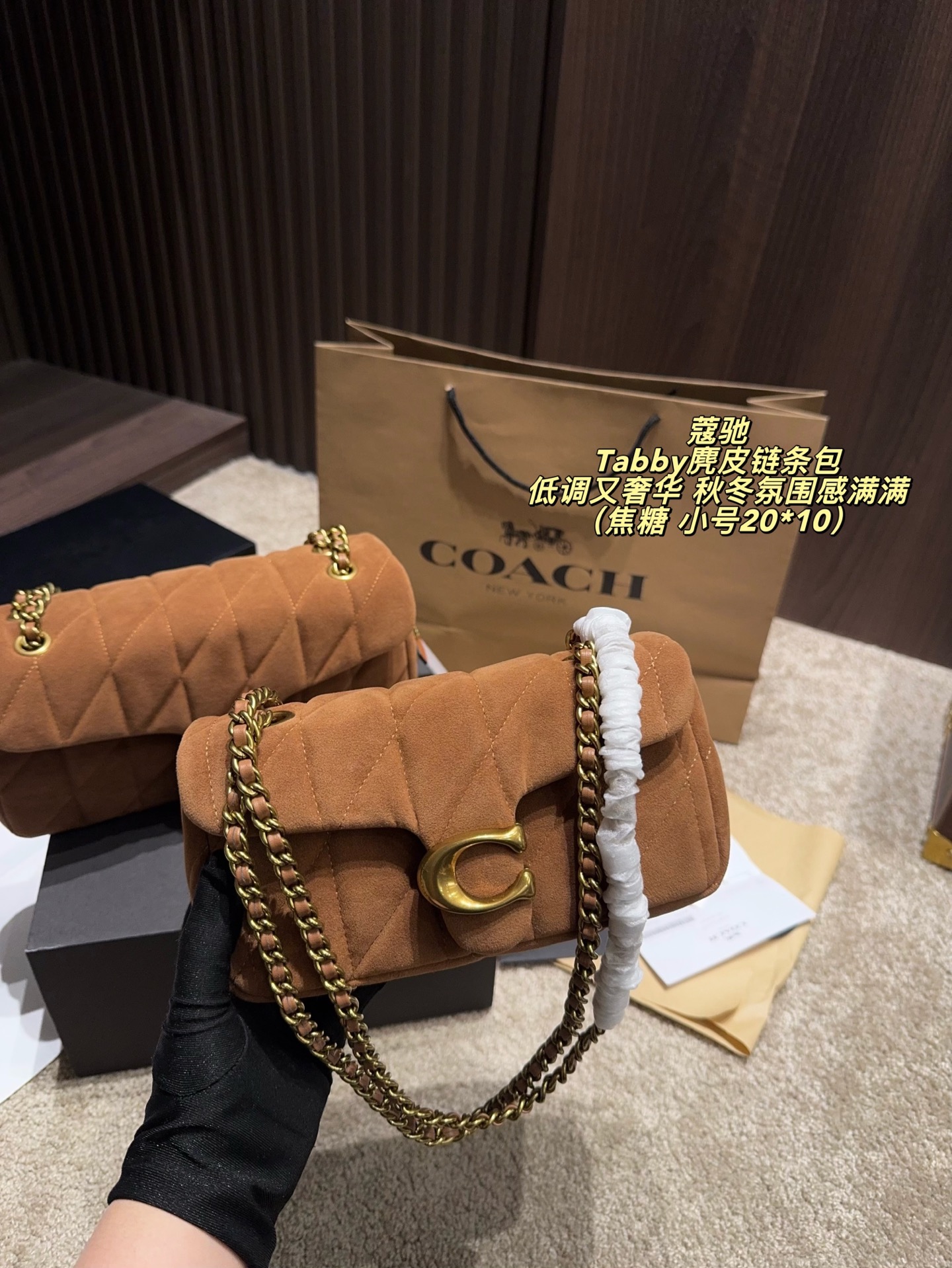 Coach P180 27 14 P165 20 10 Tabby Small Bag