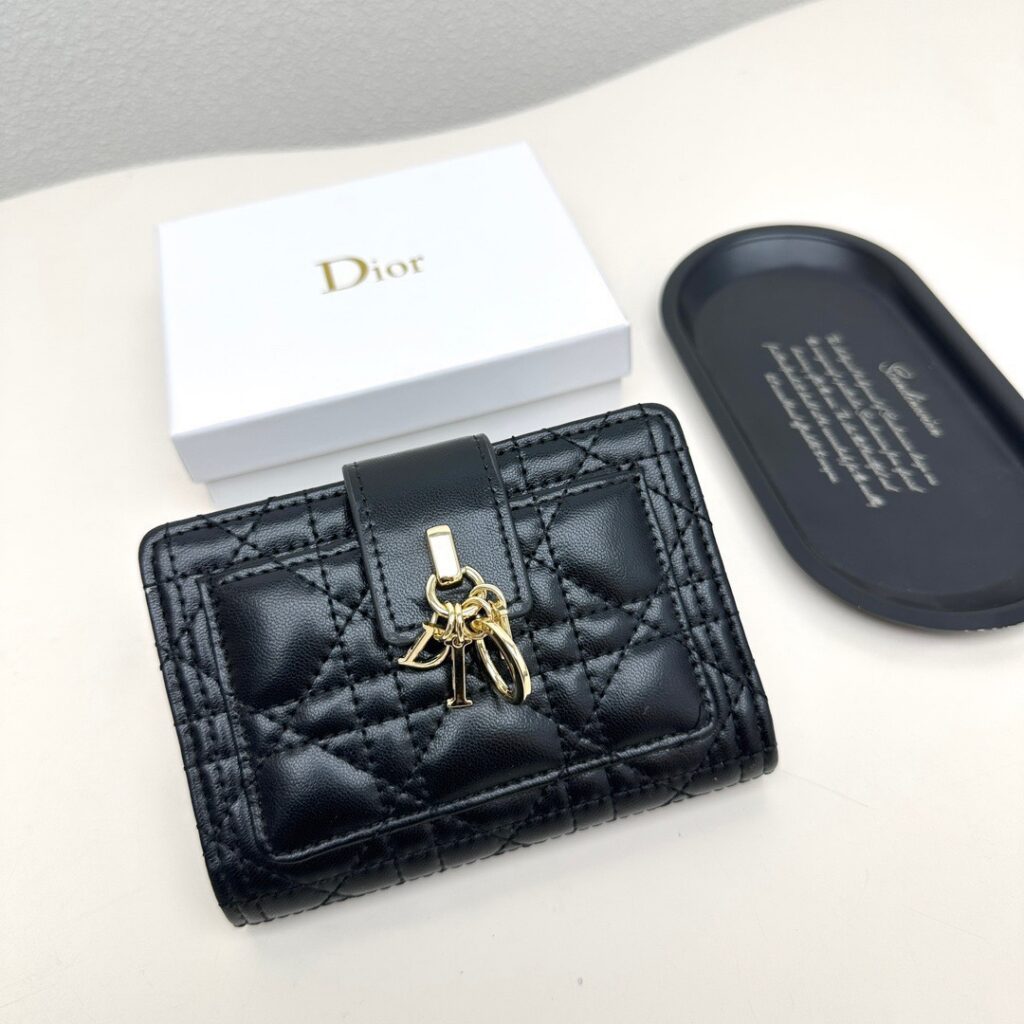 Dior Wallet editorial product context 2