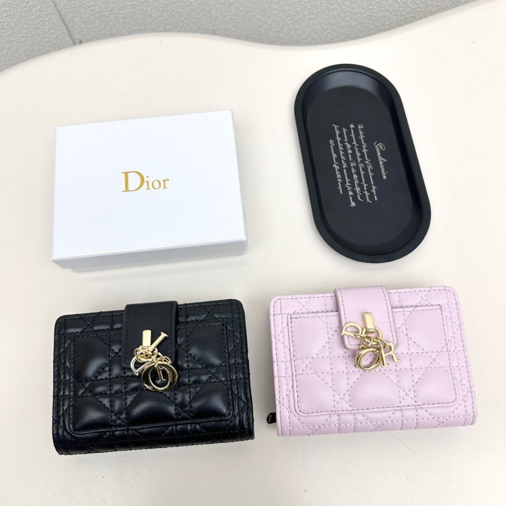 Dior Wallet editorial product context 1