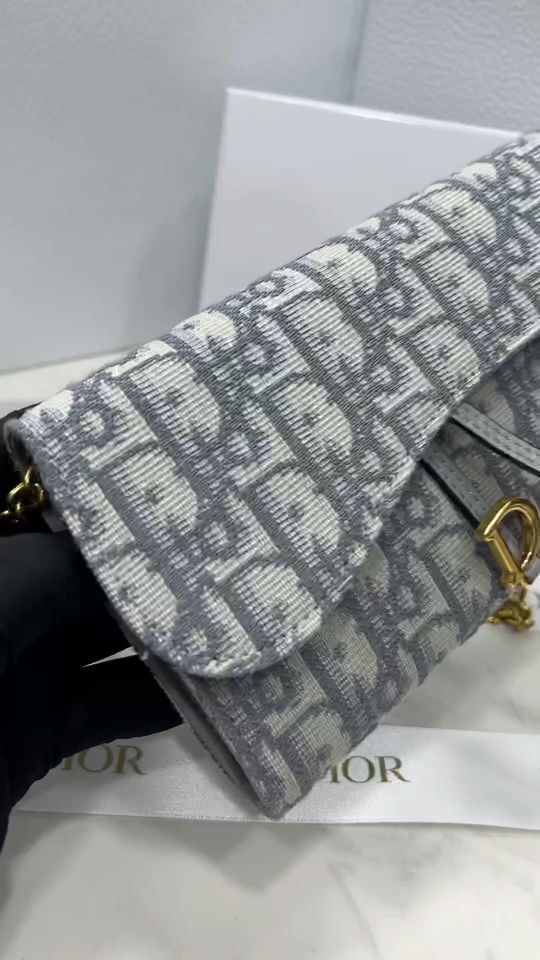 Dior Saddle Bag Bags