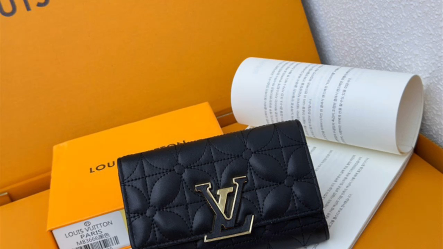 Louis Vuitton Capucines Wallet
