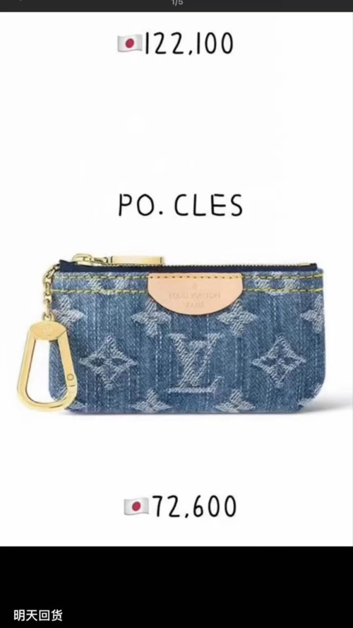 Louis Vuitton Pochette Accessories Bag Bags