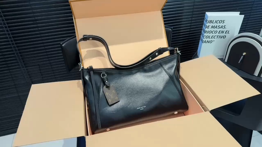 Louis Vuitton Luppe Bag Bags
