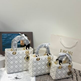 Dior p135 p130 p125 24 20 21 18 17 15 Bag