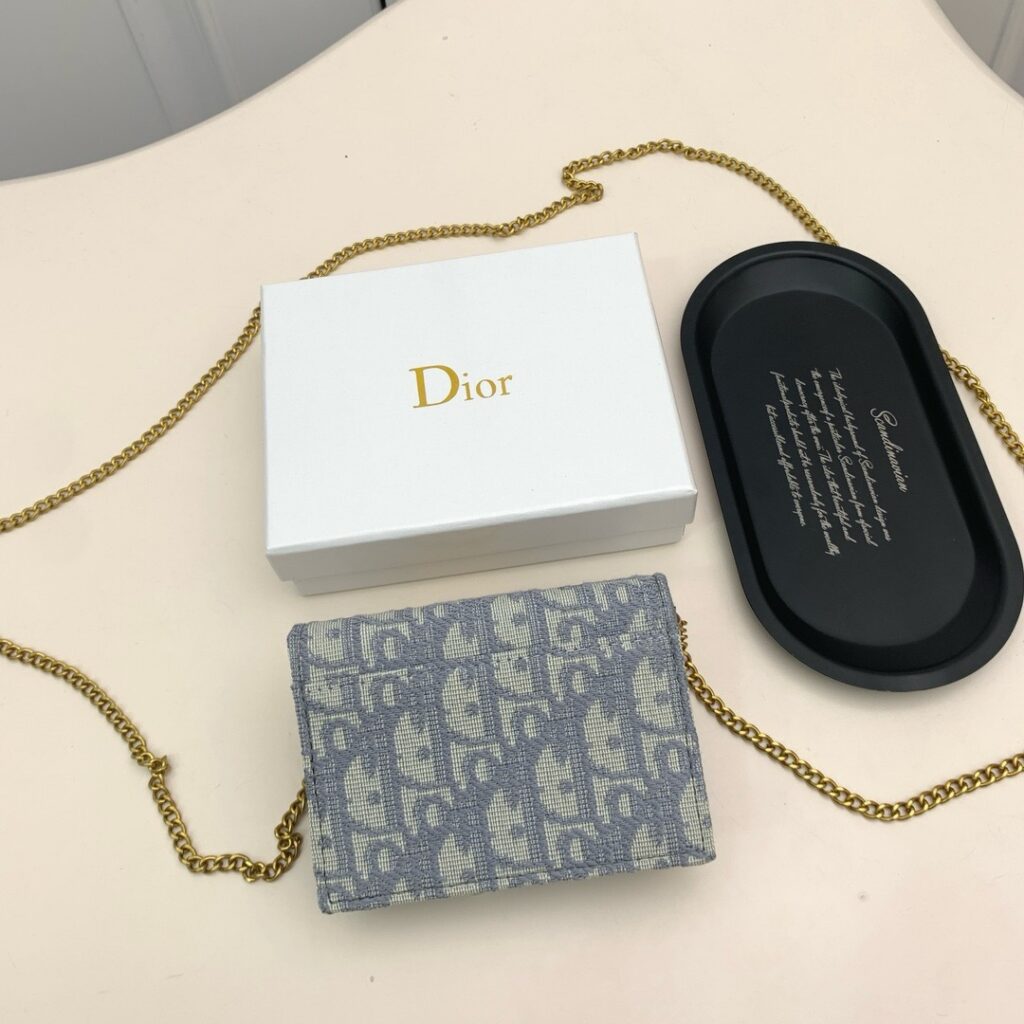 Dior On Chain Blue Canvas Wallet editorial product context 3