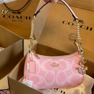 Coach size 23 13 Teri Crossbody Bag