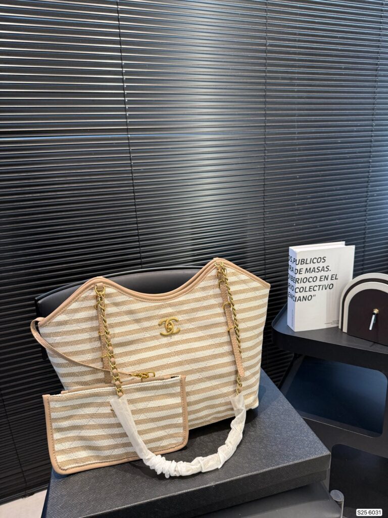 Chanel P160 28 24 6031 Bag editorial product context 1