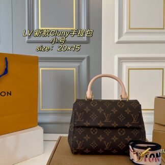 Louis Vuitton P160 size 20 15 Cluny Small Handbag