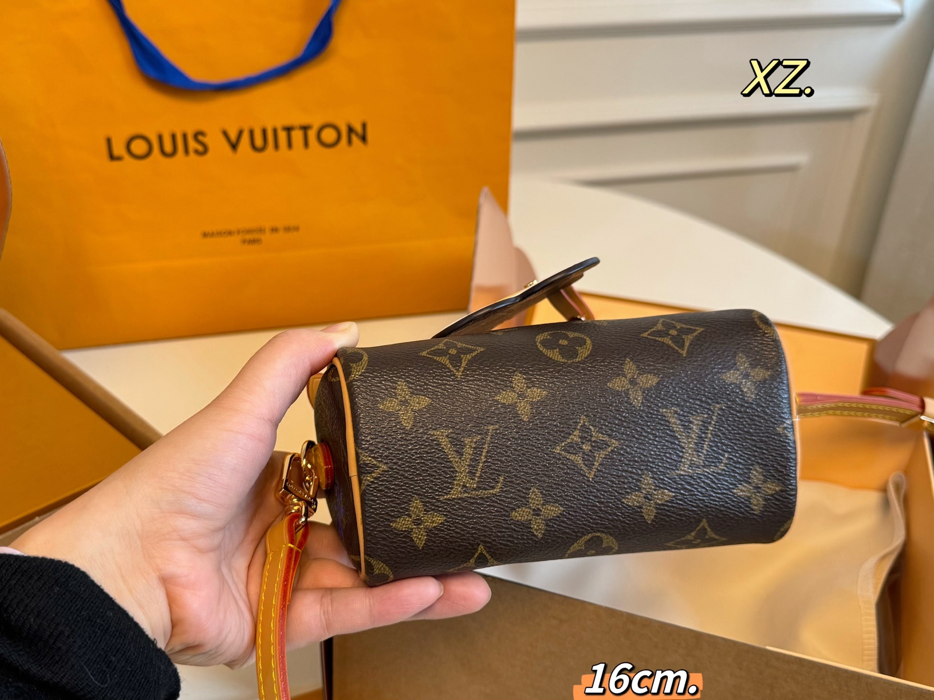 Louis Vuitton P105 16 10 Speedy nano Mini Bags