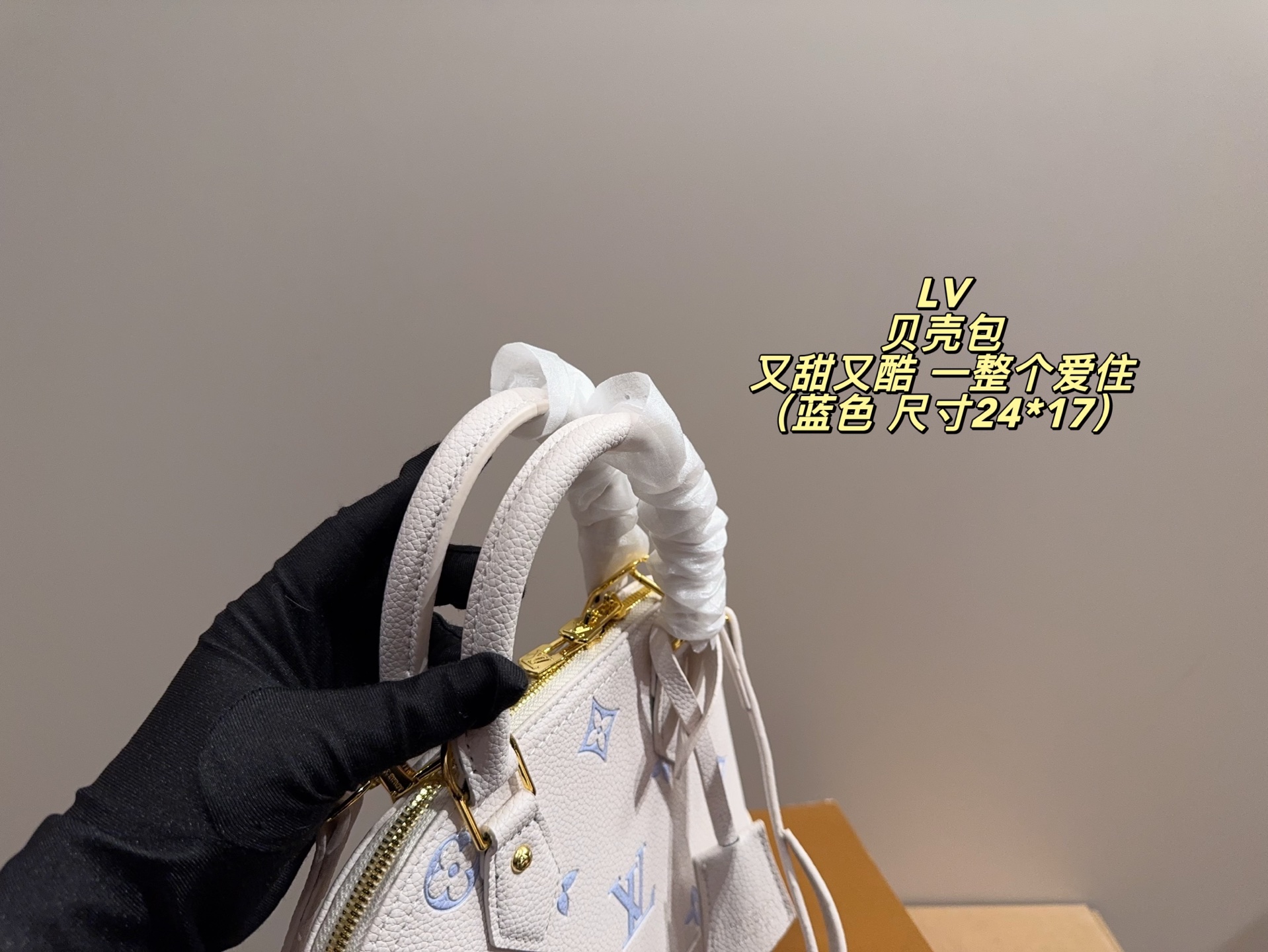 Louis Vuitton P135 24 17 Bag