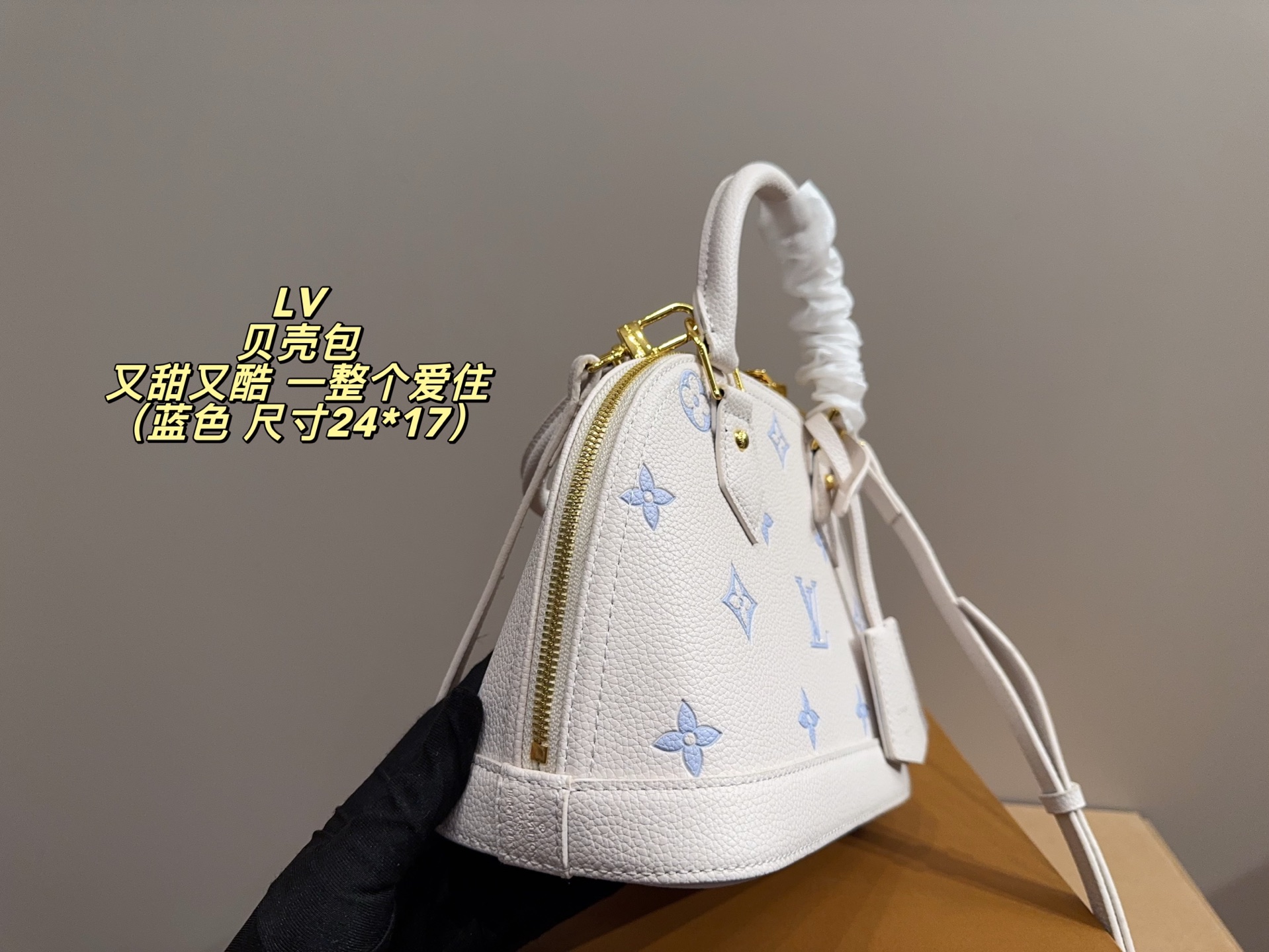 Louis Vuitton P135 24 17 Bag