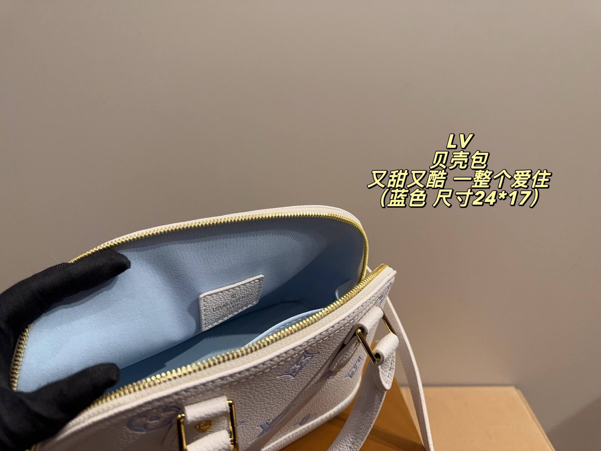 Louis Vuitton P135 24 17 Bag